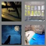 4 pics 1 word 3 letters bay