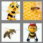 4 pics 1 word 3 letters bee