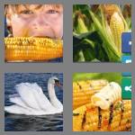 4 pics 1 word 3 letters cob