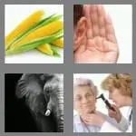 4 pics 1 word 3 letters ear