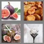 4 pics 1 word 3 letters fig