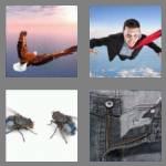 4 pics 1 word 3 letters fly