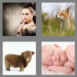 4 pics 1 word 3 letters fur