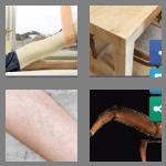 4 pics 1 word 3 letters leg