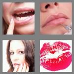 4 pics 1 word 3 letters lip