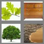 4 pics 1 word 3 letters oak