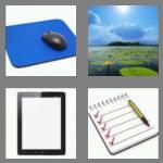 4 pics 1 word 3 letters pad