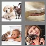 4 pics 1 word 3 letters pet