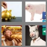 4 pics 1 word 3 letters pig