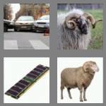 4 pics 1 word 3 letters ram