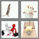 4 pics 1 word 3 letters rat