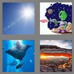 4 pics 1 word 3 letters ray