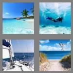 4 pics 1 word 3 letters sea