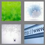 4 pics 1 word 3 letters web