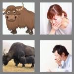 4 pics 1 word 3 letters yak