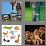 4 pics 1 word 3 letters zoo