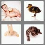 4 pics 1 word 4 letters baby
