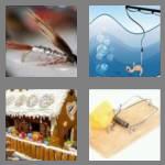 4 pics 1 word 4 letters bait