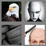 4 pics 1 word 4 letters bald