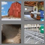 4 pics 1 word 4 letters barn