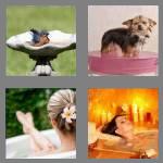 4 pics 1 word 4 letters bath