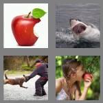 4 pics 1 word 4 letters bite