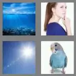 4 pics 1 word 4 letters blue