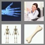 4 pics 1 word 4 letters bone