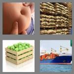 4 pics 1 word 4 letters bulk