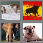 4 pics 1 word 4 letters bull