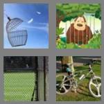 4 pics 1 word 4 letters cage