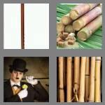 4 pics 1 word 4 letters cane