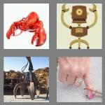 4 pics 1 word 4 letters claw