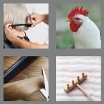 4 pics 1 word 4 letters comb