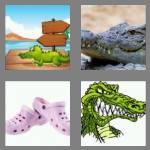 4 pics 1 word 4 letters croc