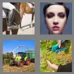4 pics 1 word 4 letters crop