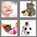 4 pics 1 word 4 letters cute