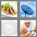 4 pics 1 word 4 letters dish