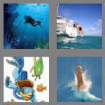 4 pics 1 word 4 letters dive