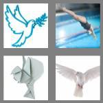 4 pics 1 word 4 letters dove