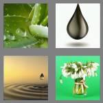 4 pics 1 word 4 letters drop