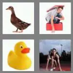 4 pics 1 word 4 letters duck