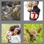 4 pics 1 word 4 letters fawn