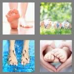 4 pics 1 word 4 letters feet