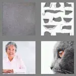 4 pics 1 word 4 letters gray