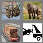 4 pics 1 word 4 letters haul