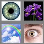 4 pics 1 word 4 letters iris