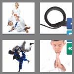 4 pics 1 word 4 letters judo