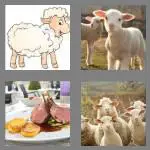 4 pics 1 word 4 letters lamb