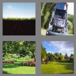 4 pics 1 word 4 letters lawn